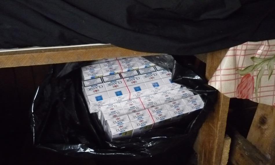 2013-1-17-1239Dubí_klid2 (5).JPG